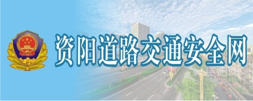 真人日比视须资阳道路交通安全网